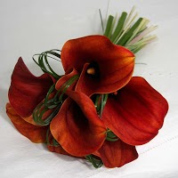 Garden Room Flowers   Wedding, Funeral and General florist in Bath 1098164 Image 2